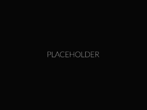 placeholder